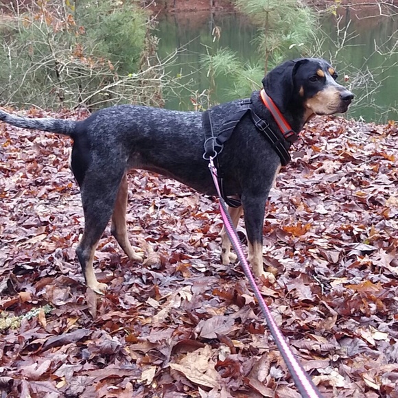 Welcome to my peachykeen_ga closet on Poshmark - Picture 2 of 8